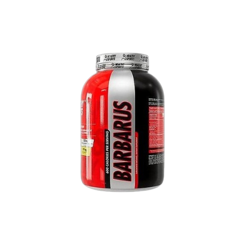 Healthy Sports Barbarus 6 Lb